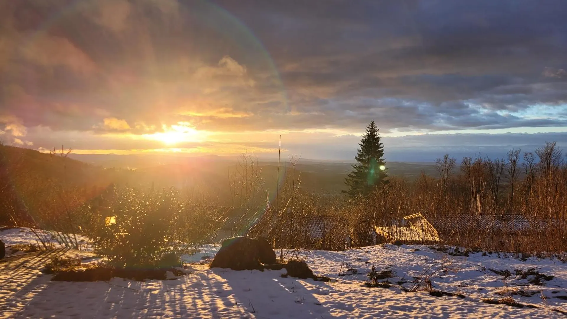 Ferienbungalow Sonnenwald Bayerischer Wald Schofweg Germany
